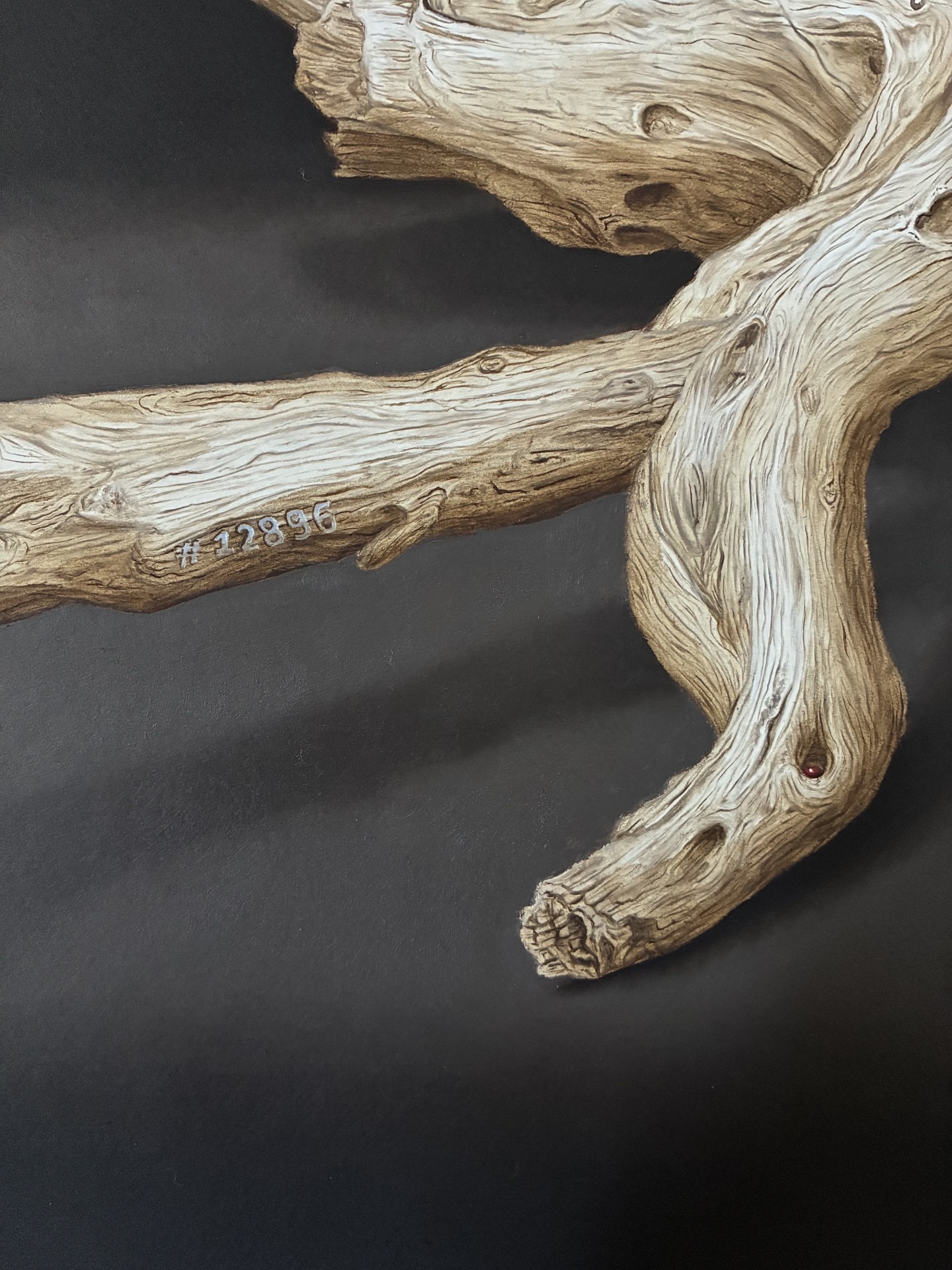 Mentes Extractae (detail) — Isabelle du Toit