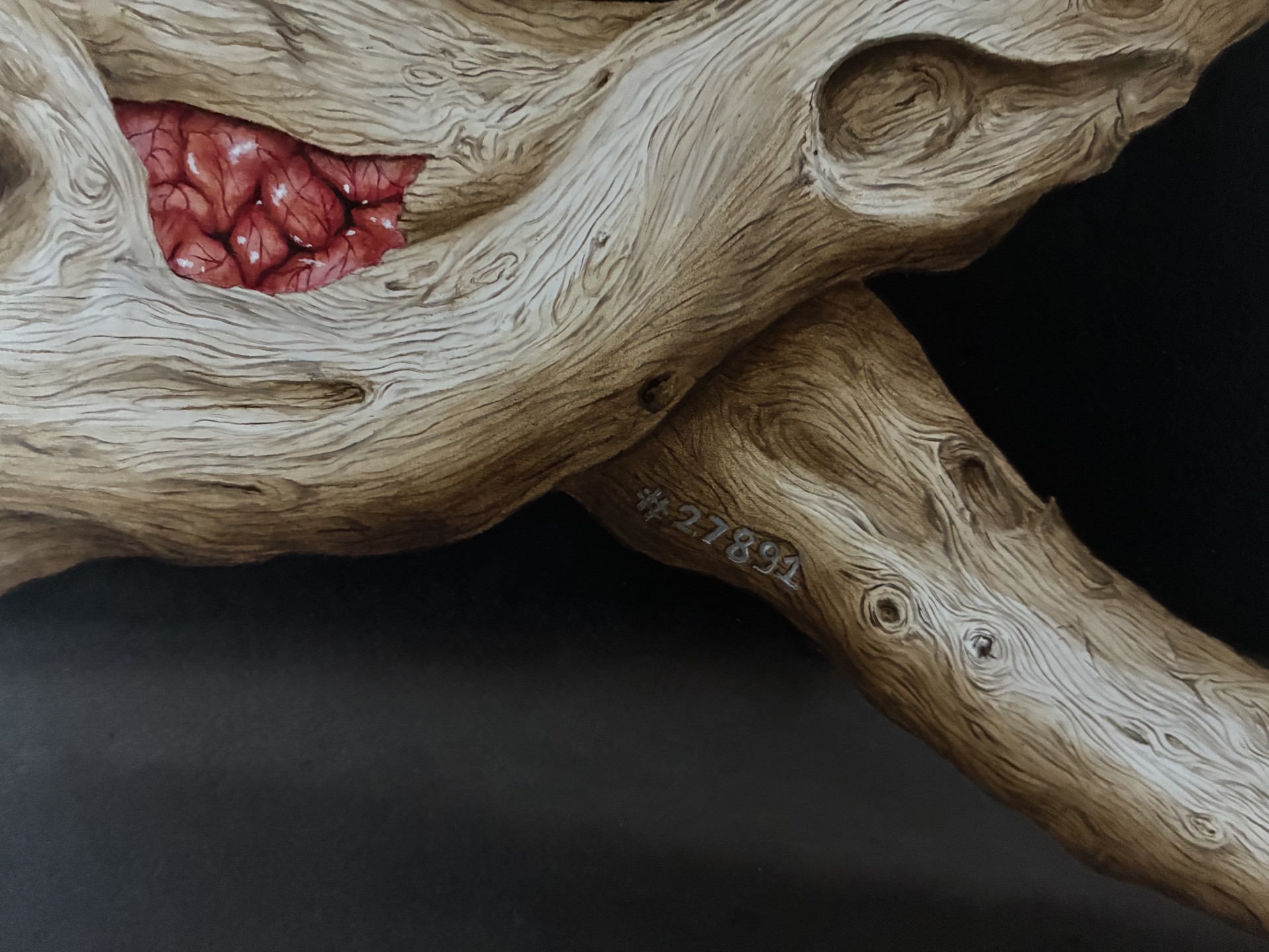 Mentes Extractae (detail) — Isabelle du Toit