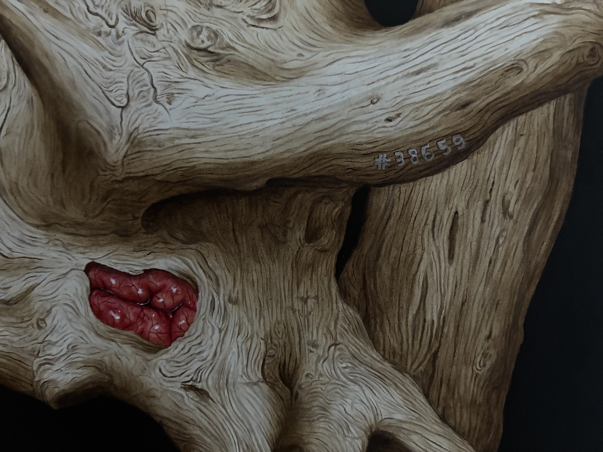 Mentes Extractae (detail) — Isabelle du Toit