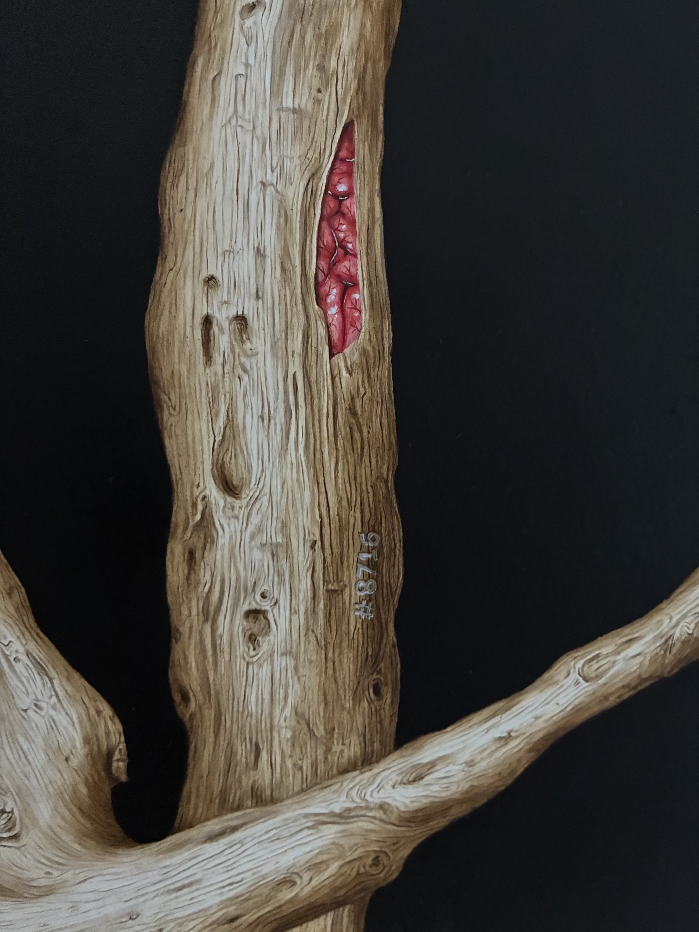 Mentes Extractae (detail) — Isabelle du Toit